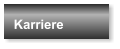 Karriere